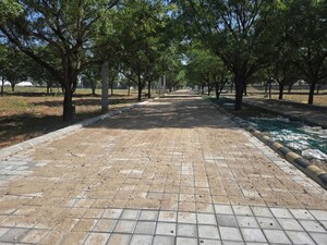 Plot Area in  Plot at Gopalpura – for Sale