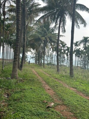  Plot – Garden View at RR Gardenia, Arehalli - for Sale