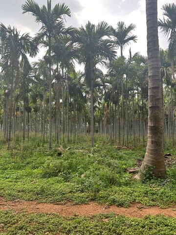 Plot Area in  Plot at RR Gardenia, Arehalli – for Sale