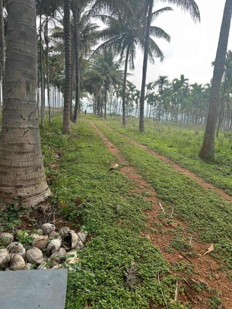 undefined, rr-gardenia  156050 Sq.Ft. Plot In Arehalli Bangalore 10124745