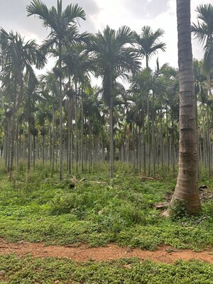  Plot – Garden View at RR Gardenia, Arehalli - for Sale