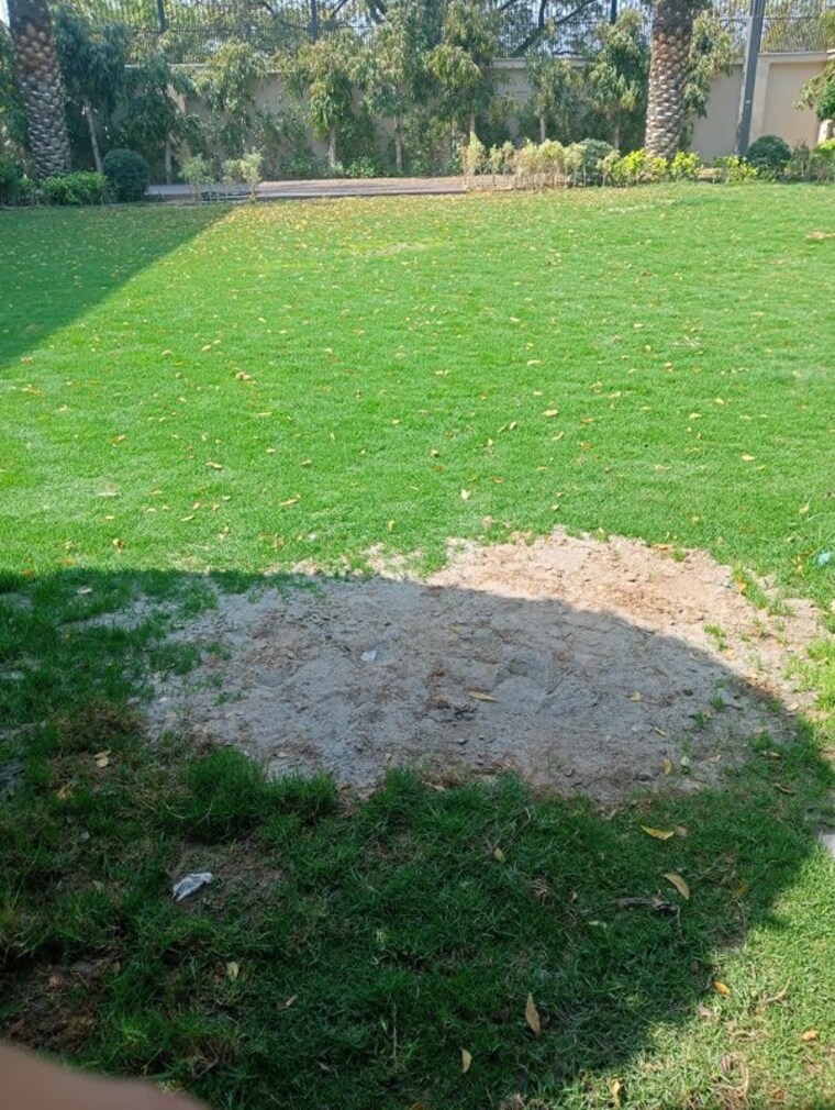 Garden, signature-global-synera 1.5 Bedroom 464 Sq.Ft. Apartment In Sector 81 Gurgaon 10126219