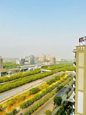 Studio Apartment For Rent in Nimbus The Golden Palm, Sector 168