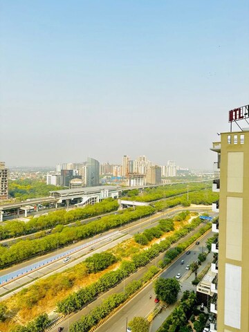 Studio Apartment For Rent in Nimbus The Golden Palm, Sector 168