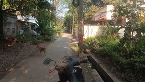  Plot For Sale in Narendrapur