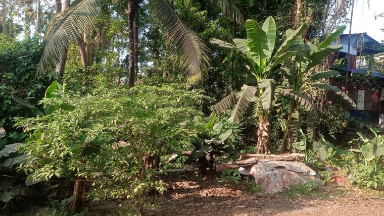 undefined, narendrapur  7920 Sq.Ft. Plot In Narendrapur Kolkata 10126462