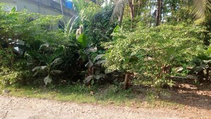  Plot – Garden View at Narendrapur - for Sale