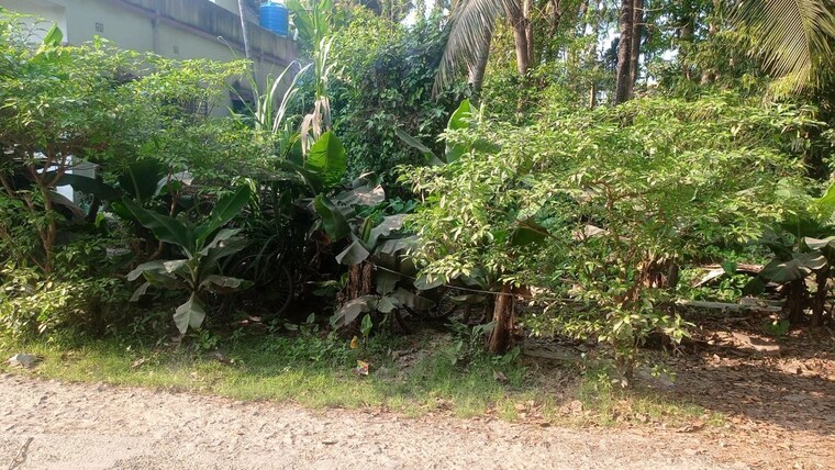 Garden, narendrapur  7920 Sq.Ft. Plot In Narendrapur Kolkata 10126462