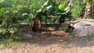  Plot – Exterior View View at Narendrapur - for Sale