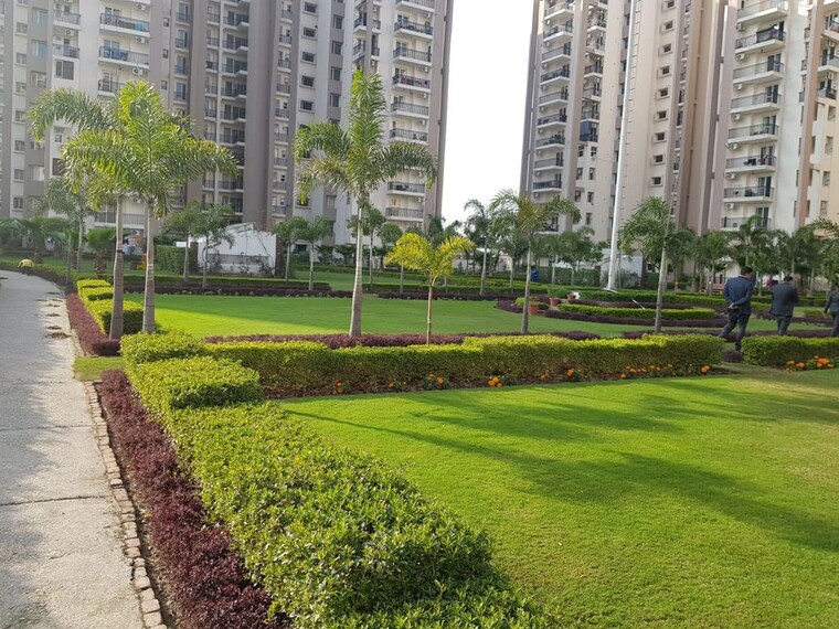 Garden, motiaz-royal-citi 1 RK 500 Sq.Ft. Apartment In Ambala Highway Zirakpur 10122043