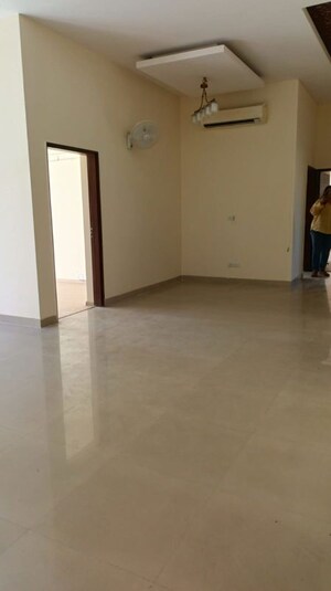 3 BHK Apartment For Rent in Tulip Orange, Sector 70