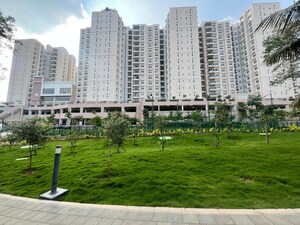 1 BHK Apartment For Rent in Prestige Primrose Hills, Banashankari 6th Stage