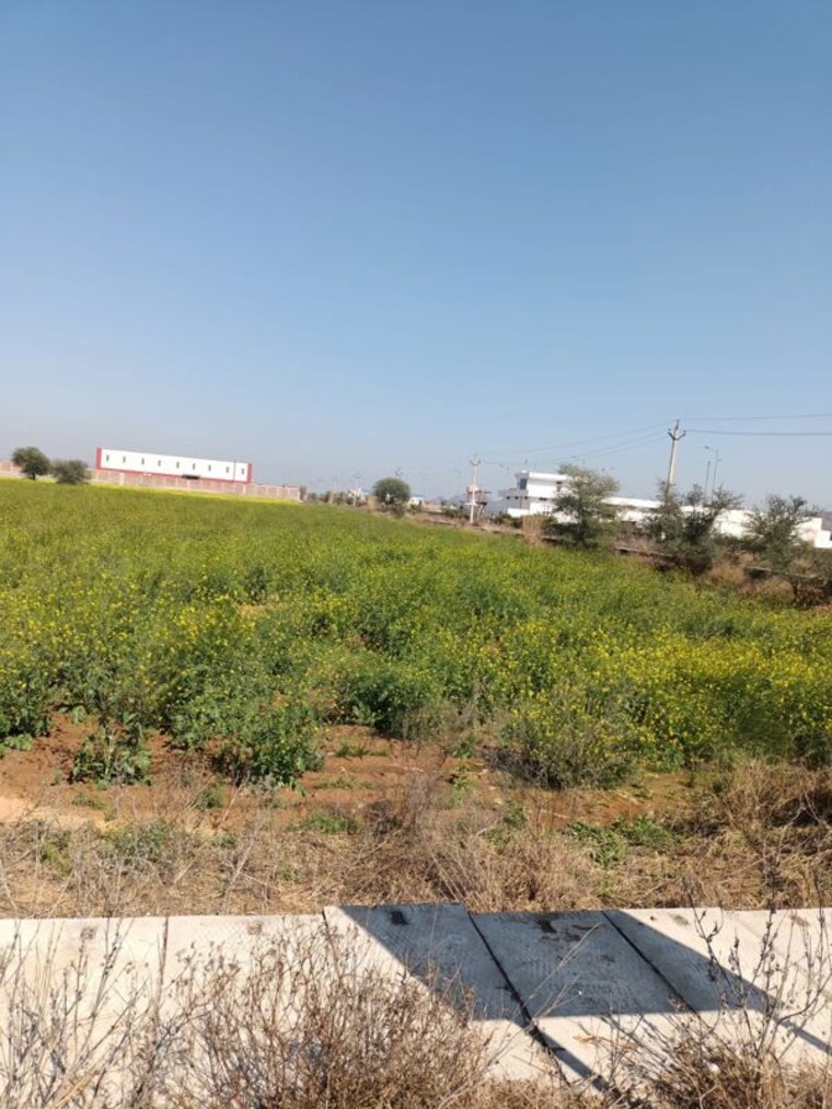 undefined, riico industrial area Commercial Industrial Plot 10000 Sq.Mt. In Riico Industrial Area Bhiwadi 10128976