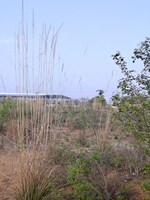 30000 Sq.Ft. Industrial Plot in Bawal