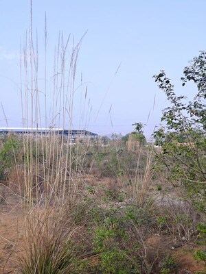  Industrial Plot For Sale in Bawal