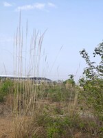 5000 Sq.Mt. Industrial Plot in RIICO Industrial Area