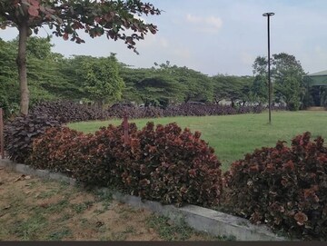  Plot For Sale in Landmark Divine Meadows, Masaipet