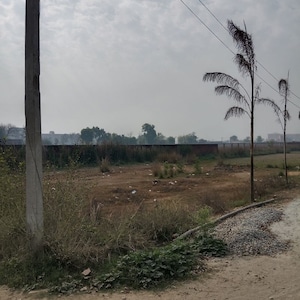 Plot Area in  Plot at Parao – for Sale