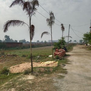 Plot Area in  Plot at Jalhupur – for Sale