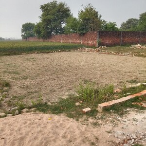 Plot Area in  Plot at Parao – for Sale