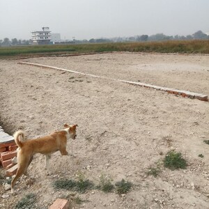 Plot Area in  Plot at Jalhupur – for Sale