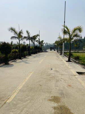  Plot For Sale in Biharigarh