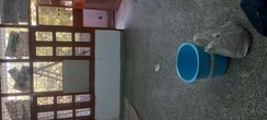 1.5 BHK + Pooja Room Apartment For Rent in IP Extension