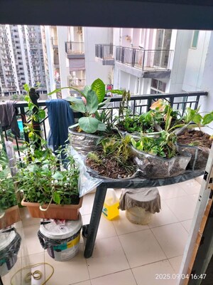 Balcony in 2.5 BHK Apartment at Skytech Matrott, Sector 76 – for Sale