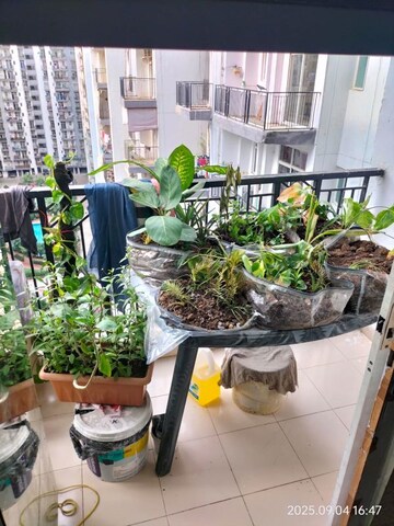 Balcony in 2.5 BHK Apartment at Skytech Matrott, Sector 76 – for Sale