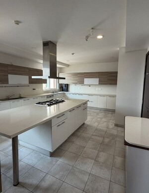 Kitchen in 4 BHK Apartment at Prestige White Meadows, Whitefield – for Sale