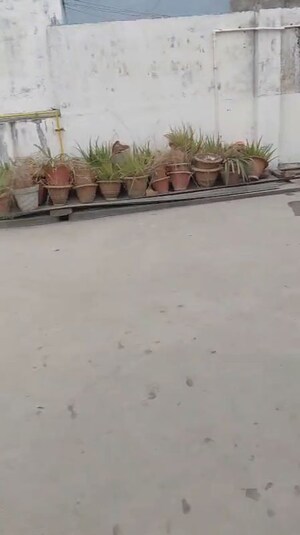 Balcony in 2 BHK Independent House at Ashiyana – for Sale