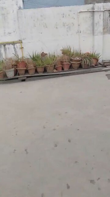 Balcony in 2 BHK Independent House at Ashiyana – for Sale