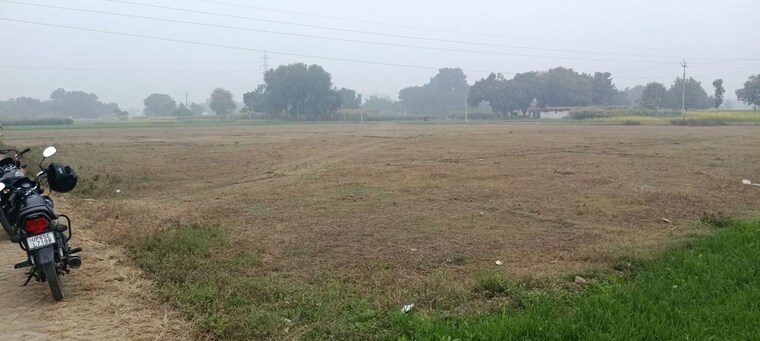undefined, parao  1375 Sq.Ft. Plot In Parao Varanasi 10129493