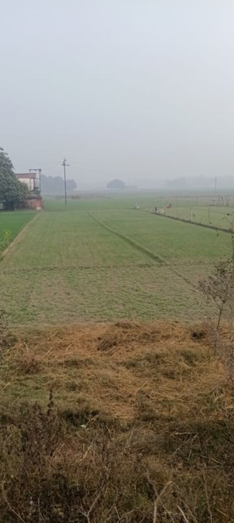 undefined, parao  1375 Sq.Ft. Plot In Parao Varanasi 10129493