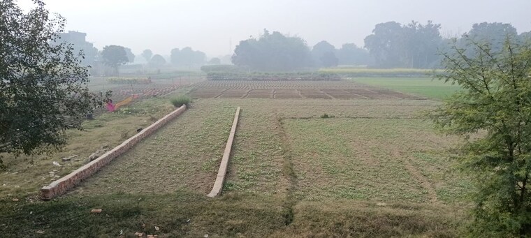 undefined, parao  1375 Sq.Ft. Plot In Parao Varanasi 10129493