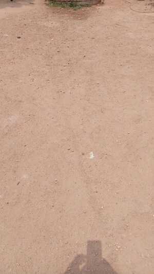 Plot Area in  Plot at Manikonda – for Rent