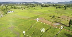 Plot For Sale in Sector 98