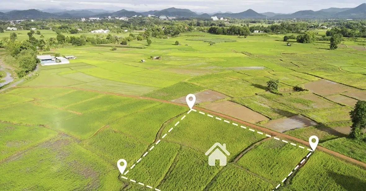 Plot For Sale in Sector 98
