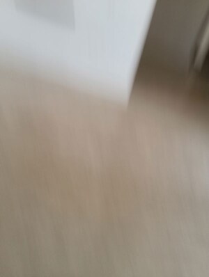 Room in 2.5 BHK Apartment at Wal Street 88A, Sector 88a – for Rent