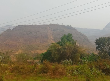  Plot For Sale in Nere