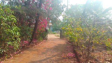  Plot – Garden View at Chanje - for Sale