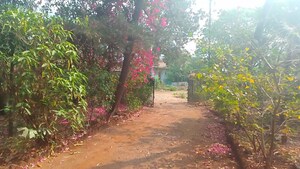  Plot – Garden View at Chanje - for Sale