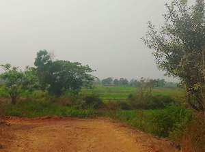  Land For Sale in Chirle