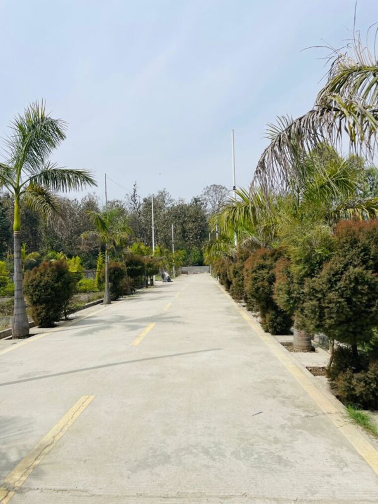 Garden, biharigarh  165 Sq.Yd. Plot In Biharigarh Dehradun 10129744