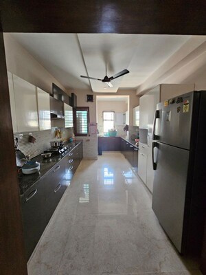 Kitchen in 5 BHK Builder Floor at Sector 11 – for Sale