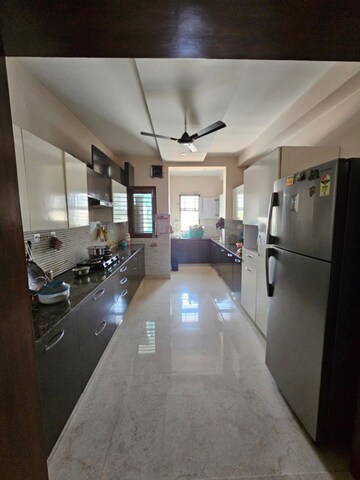 Kitchen in 5 BHK Builder Floor at Sector 11 – for Sale