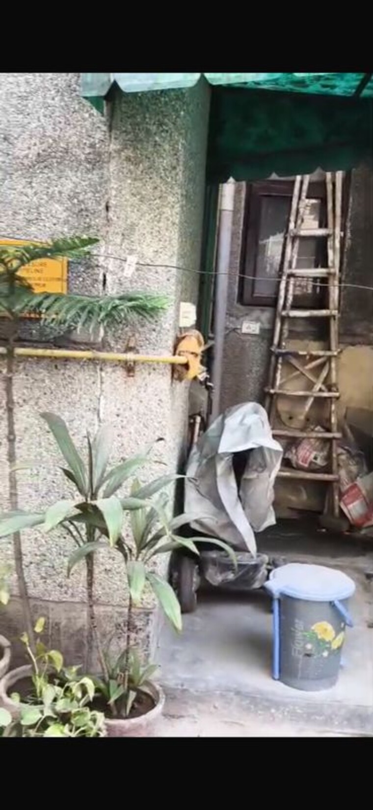 Other, rohini sector 14 2.5 Bedroom 950 Sq.Ft. Apartment In Rohini Sector 14 Delhi 10129984