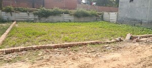 Plot Area in  Plot at Rohania – for Sale