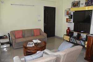 Living Room in 3 BHK Apartment at Tulip White, Sector 69 – for Rent