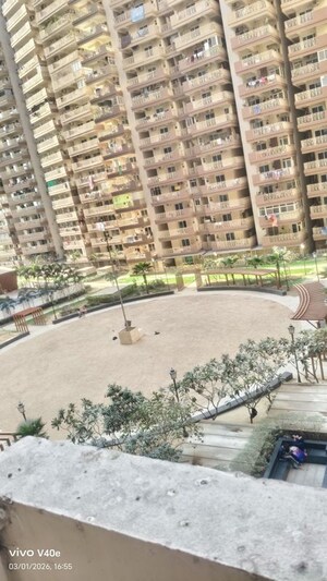 2 BHK Apartment For Rent in Gaur City 7th Avenue, Sector 4 Greater Noida